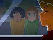 Clover sitting in the Limousine