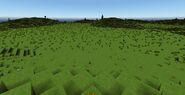 A Grasslands Biome.