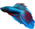 Frutiger Aero Fish