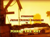 Marco the Rat
