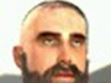 Parmenion