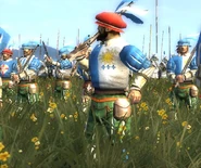 French arquebusiers