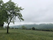 A view of the misty Blue Ridge Mountains from Bolivar Heights