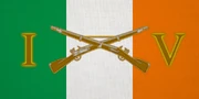 Irish Volunteers