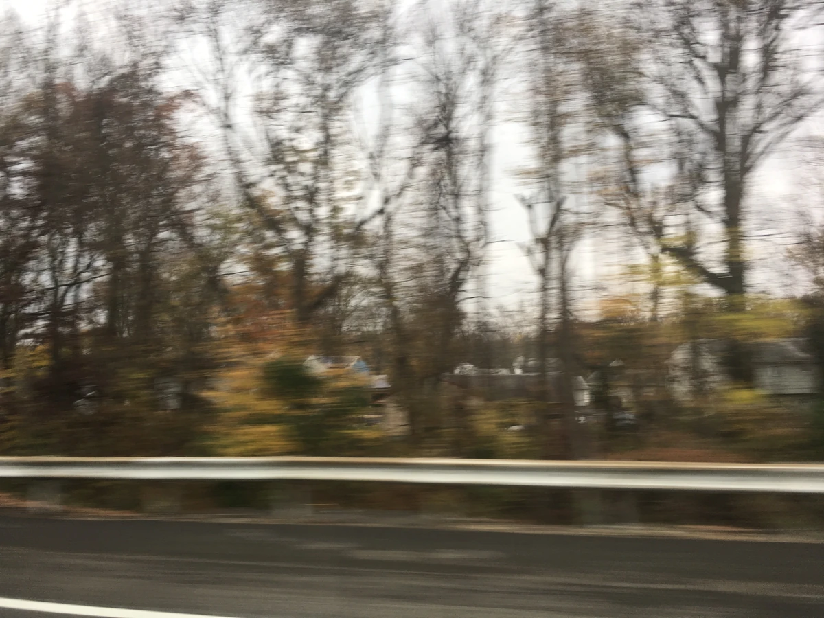 Woodbury Heights Historica Wiki Fandom