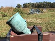 Allied artillery at their siege positions