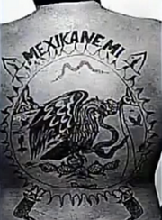 Mexikanemi