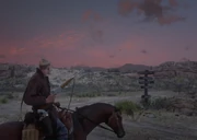 Arizona watching the dawn