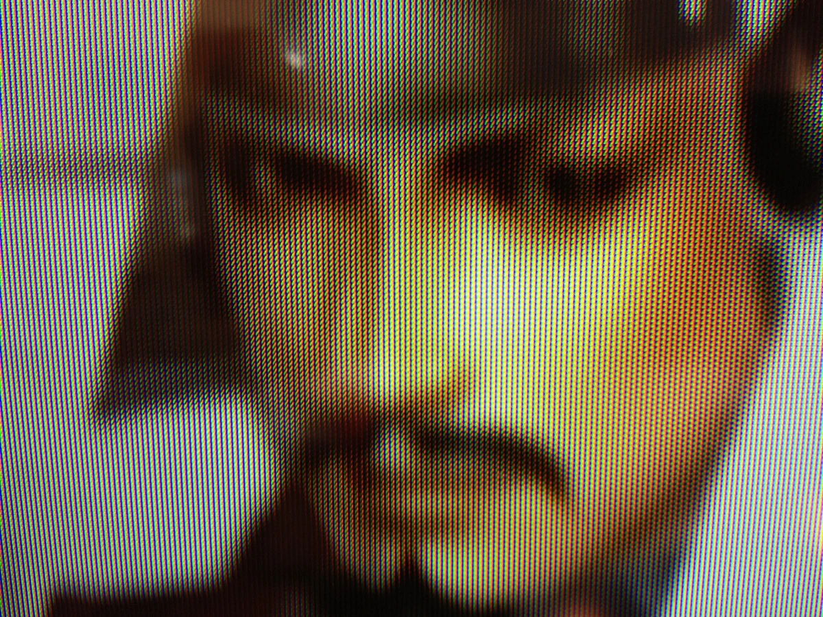 Naotaka Ii Historica Wiki Fandom