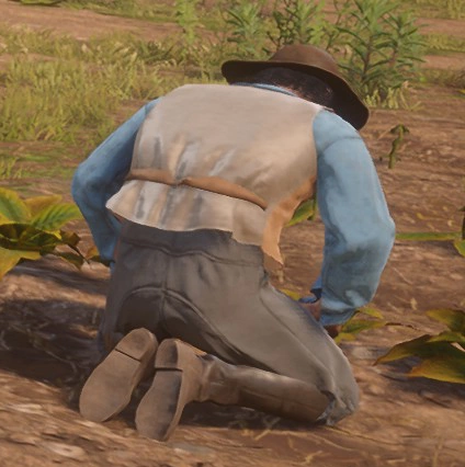 Carded R. Olmstead | Historica Wiki | Fandom