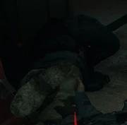 Akinfeev Milomir Larionovich