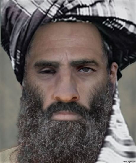 Taliban wiki