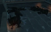 Several dead Bulgarin assassins, 2008