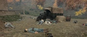The casualties at Caporetto