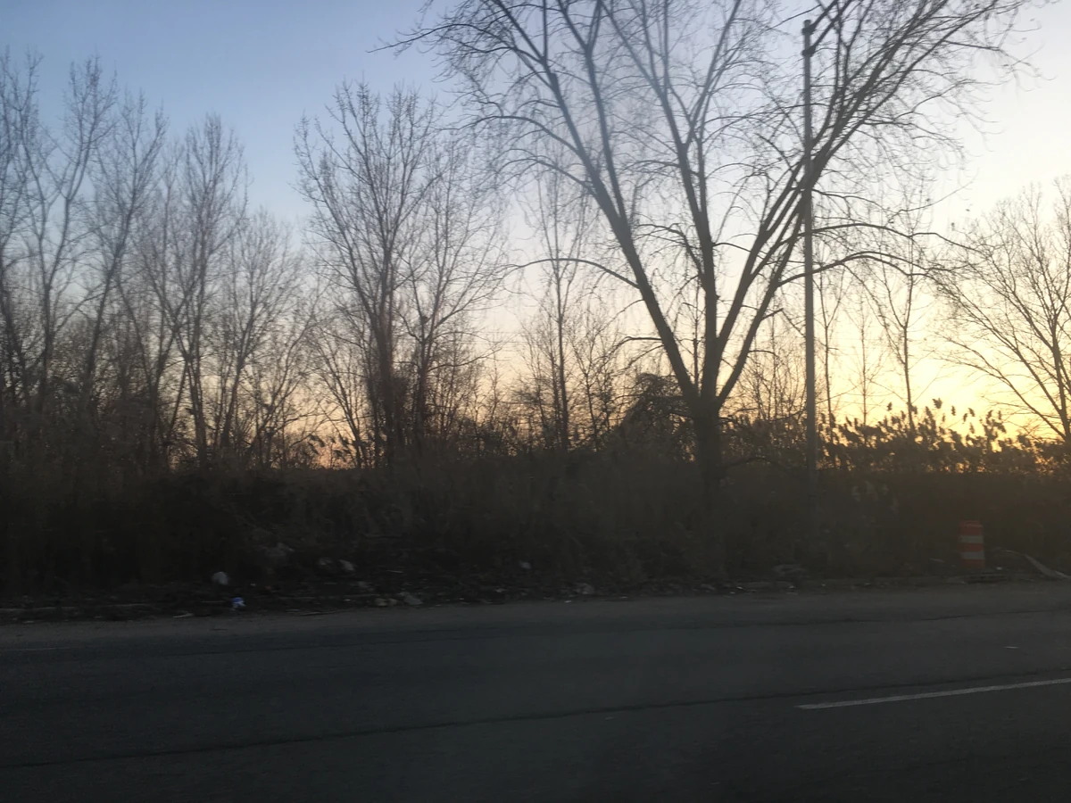 Meadowlands Historica Wiki Fandom