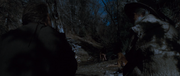 Wales and Watie staring at Little Moonlight
