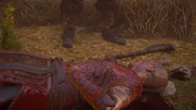 Ivar dying