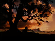 Gone with the Wind