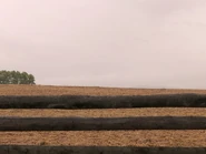 The Cornfield in April 2023