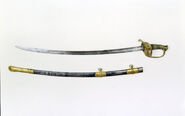 Jackson's Saber and Scabbard