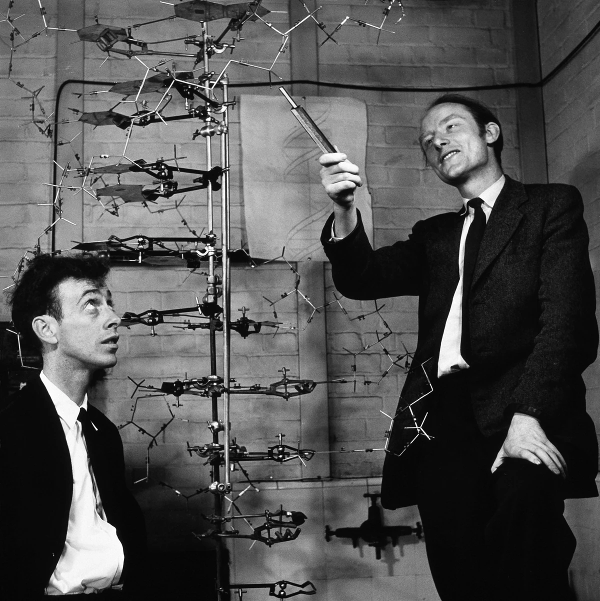 Francis Crick Historica Wiki Fandom
