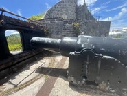 Alexandra Battery 3.jpeg (3.4 MB)