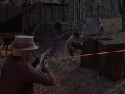 Arizona shooting Leibovitz's accomplices