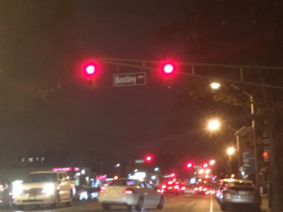 Bentley Avenue Historica Wiki Fandom