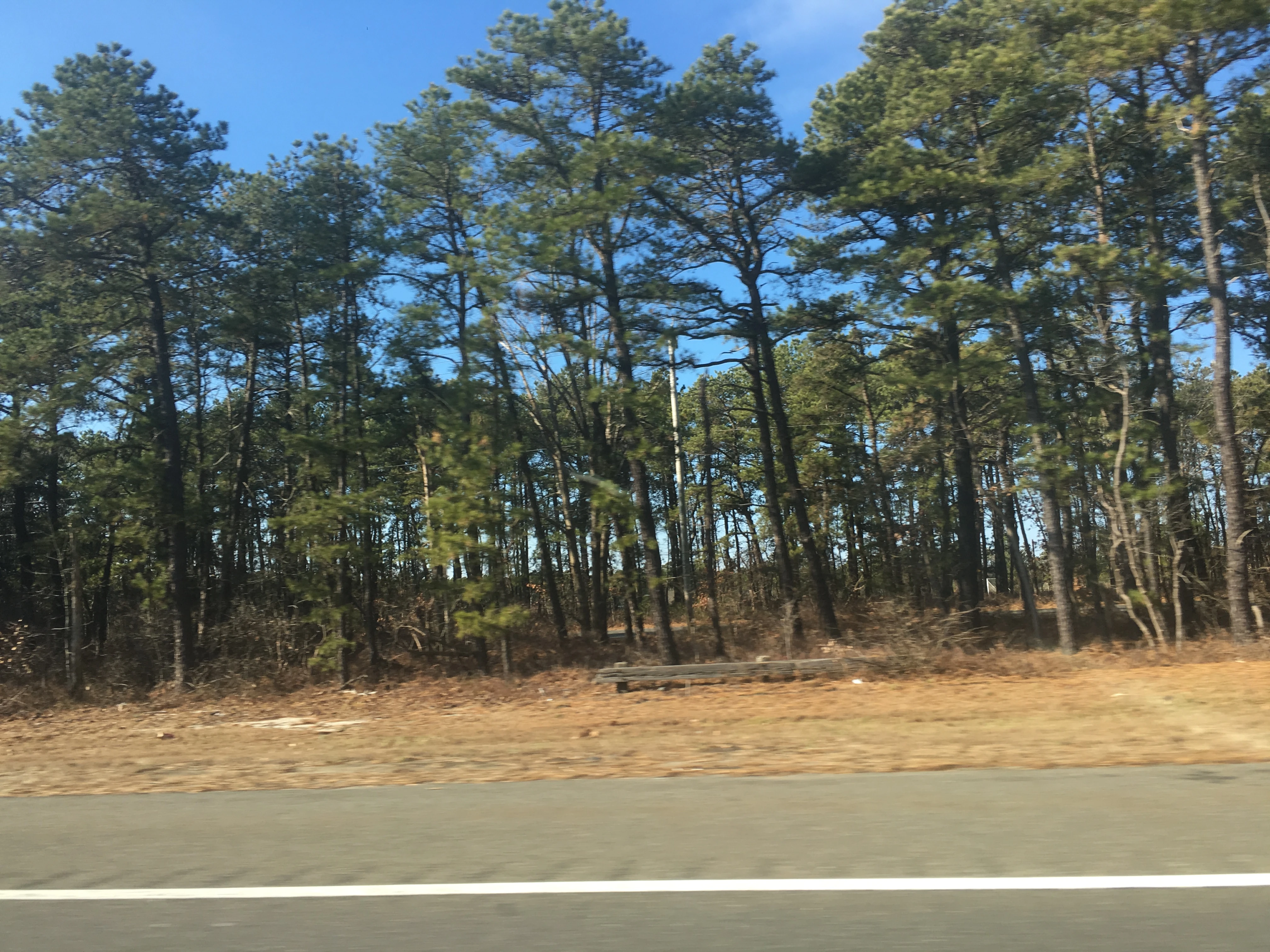 Double Trouble State Park Historica Wiki Fandom