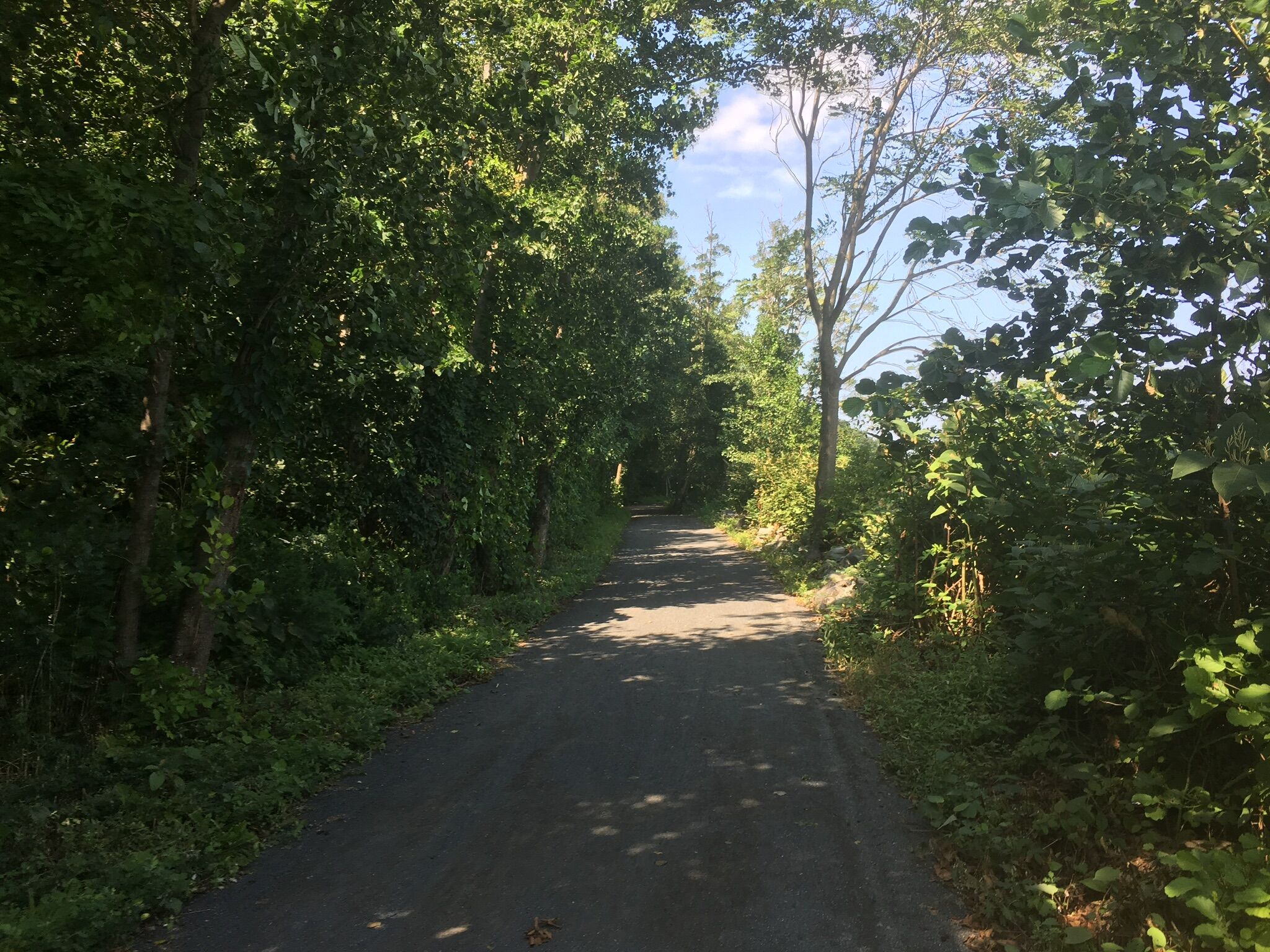 Henry Hudson Trail and Bike Path - Introduction