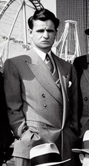 Manfredo Delfino