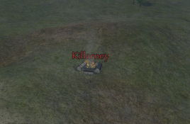 Sack of Killarney