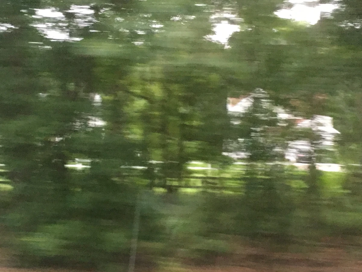 Bargaintown Historica Wiki Fandom