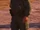Eben J. Honks