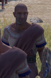 Manajihr Mamigonian