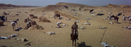 The aftermath of the cavalry battle