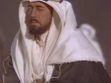 Faisal I of Iraq