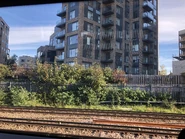 Croydon in November 2021