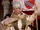 Pope Innocent VIII