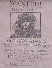 Morgan Adams