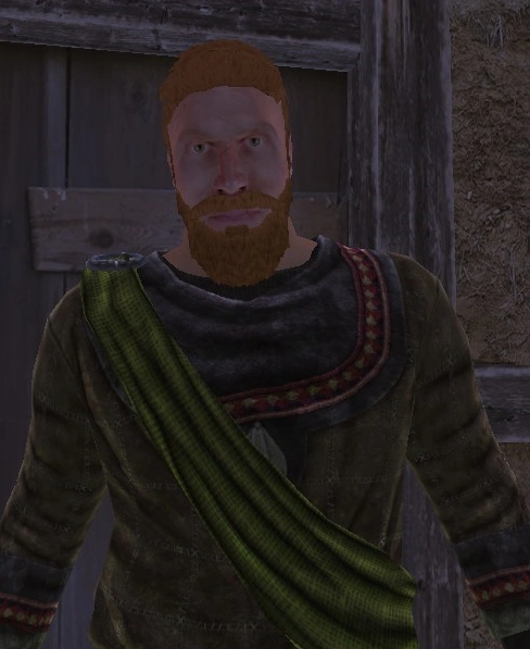 Donngal of Caer Meguaidd Historica Wiki Fandom