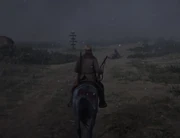 Arizona capturing July Jolie