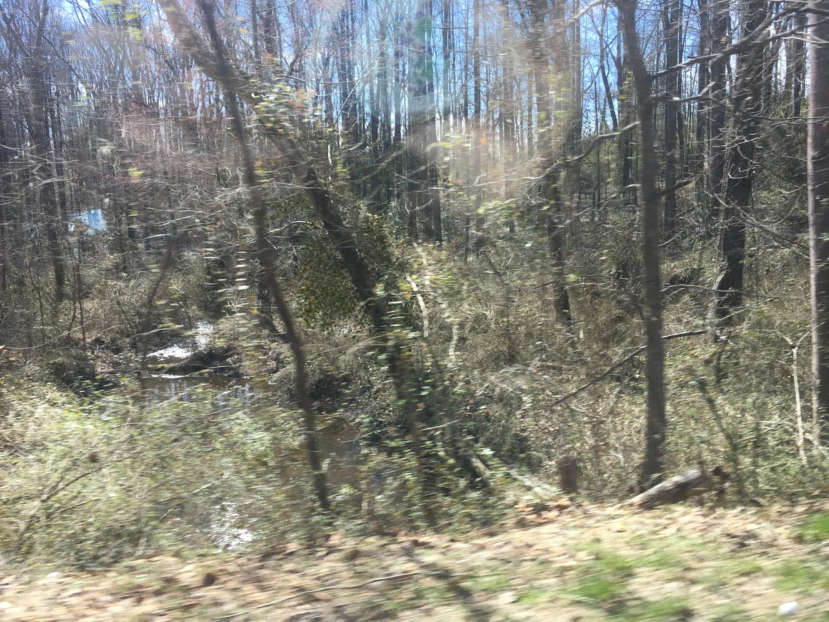 Boatswain Creek Historica Wiki Fandom