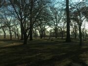 Arlington Cemetery NJ