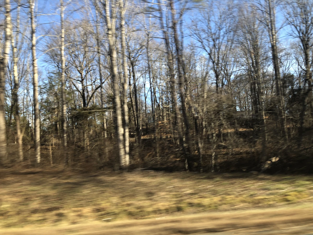 Yanceyville, Virginia Historica Wiki Fandom