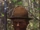 Boss T. McDill