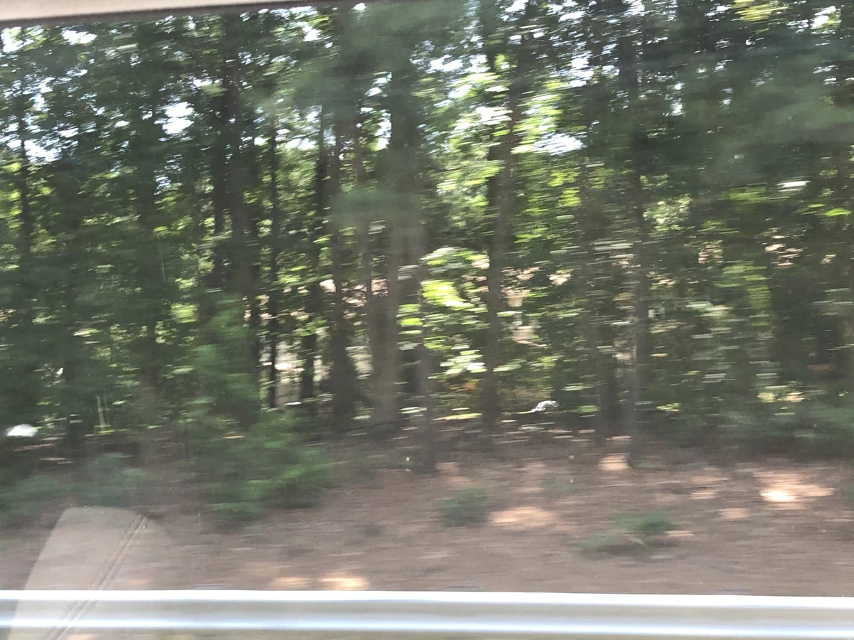 Church Run Historica Wiki Fandom