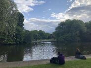 The lake in the park