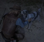 Arizona Kid dog.png (1.06 MB) Arizona petting a dog in Blackwater