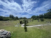 Royal Naval Cemetery